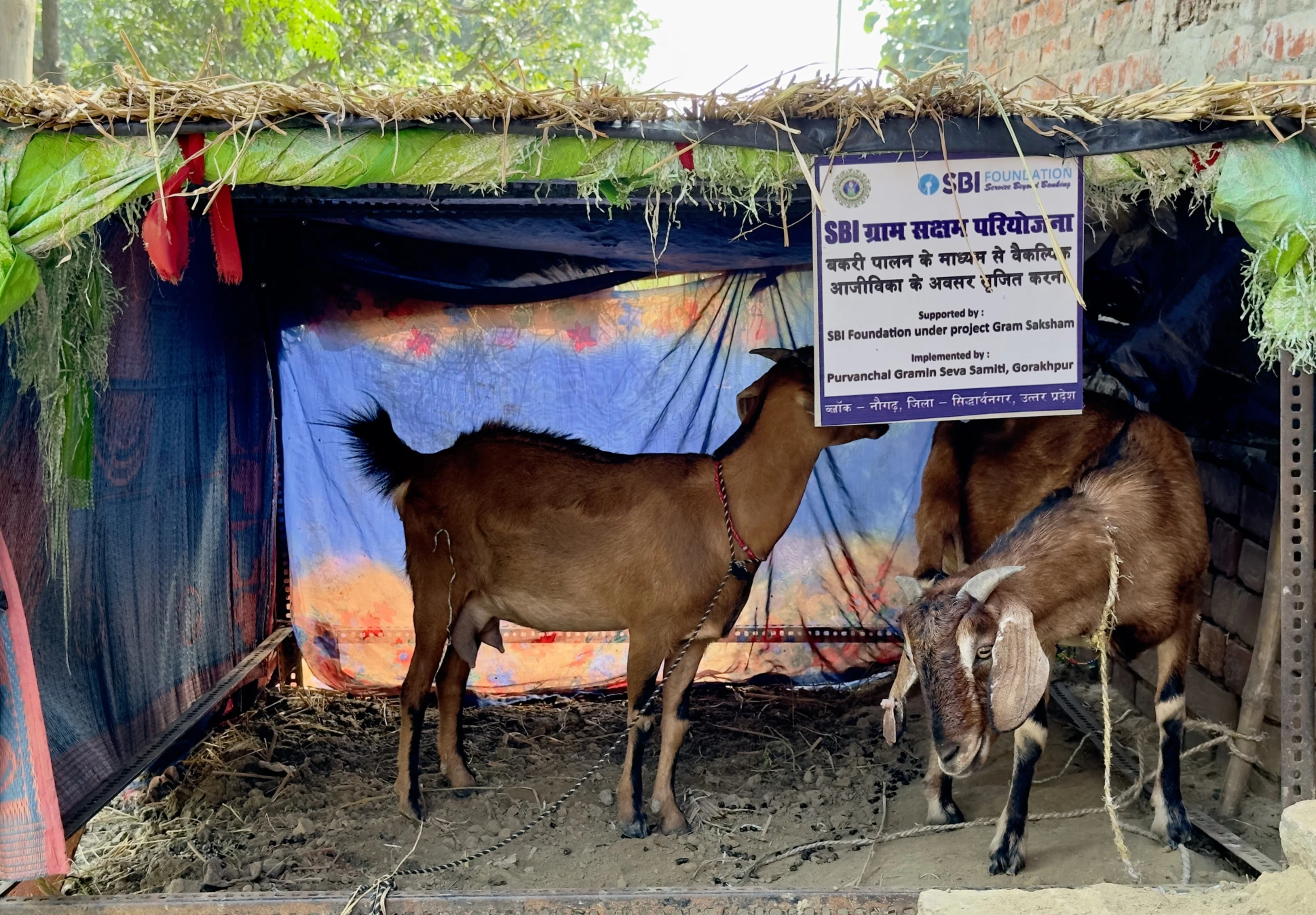 Empowering Rural Livelihoods